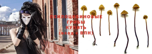 гашик Алзамай