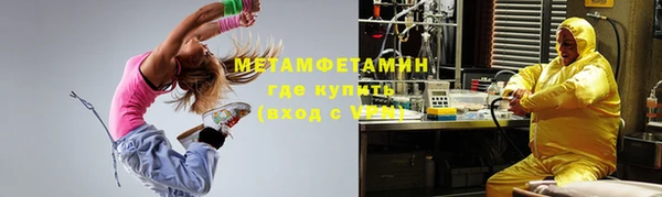 ГАЛЛЮЦИНОГЕННЫЕ ГРИБЫ Богданович