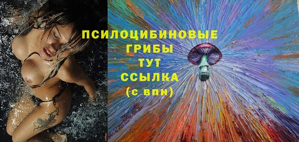 спиды Алексин