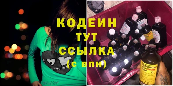 гашик Алзамай
