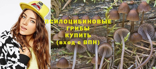 гашик Алзамай