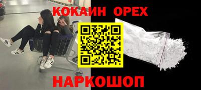 гашик Кандалакша
