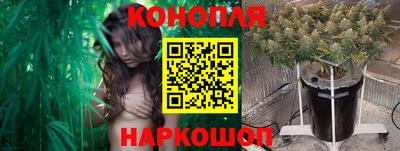 гашик Кандалакша