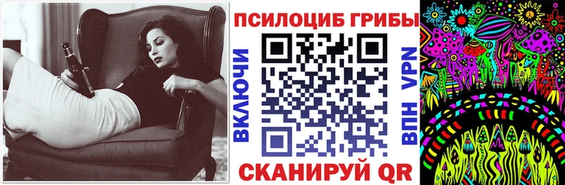 Псилоцибиновые грибы Cubensis  Волхов 
