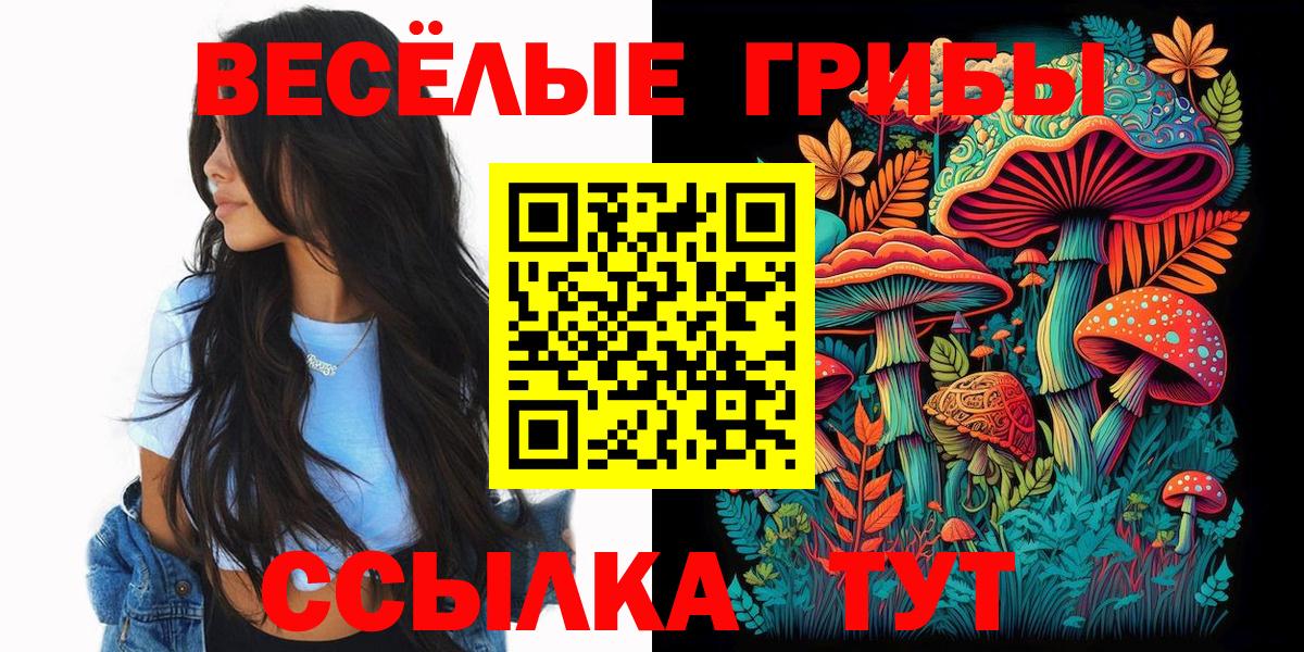Псилоцибиновые грибы Psilocybine cubensis  Вход с VPN  Волхов  Галлюциногенные грибы Cubensis 